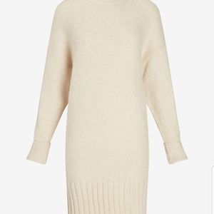 Express X You Metlic Turtleneck Sweater Dress